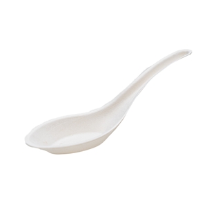 Chinese Soup Spoon Plastic 1000/cs