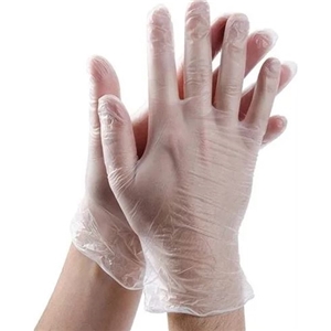Large Vinyl Gloves, Powder Free, Empress, 1000/cs