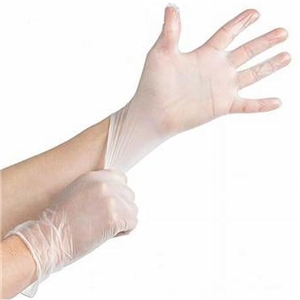 Large Vinyl Powder Free Glove, Clear, Prime Source 1000/cs
